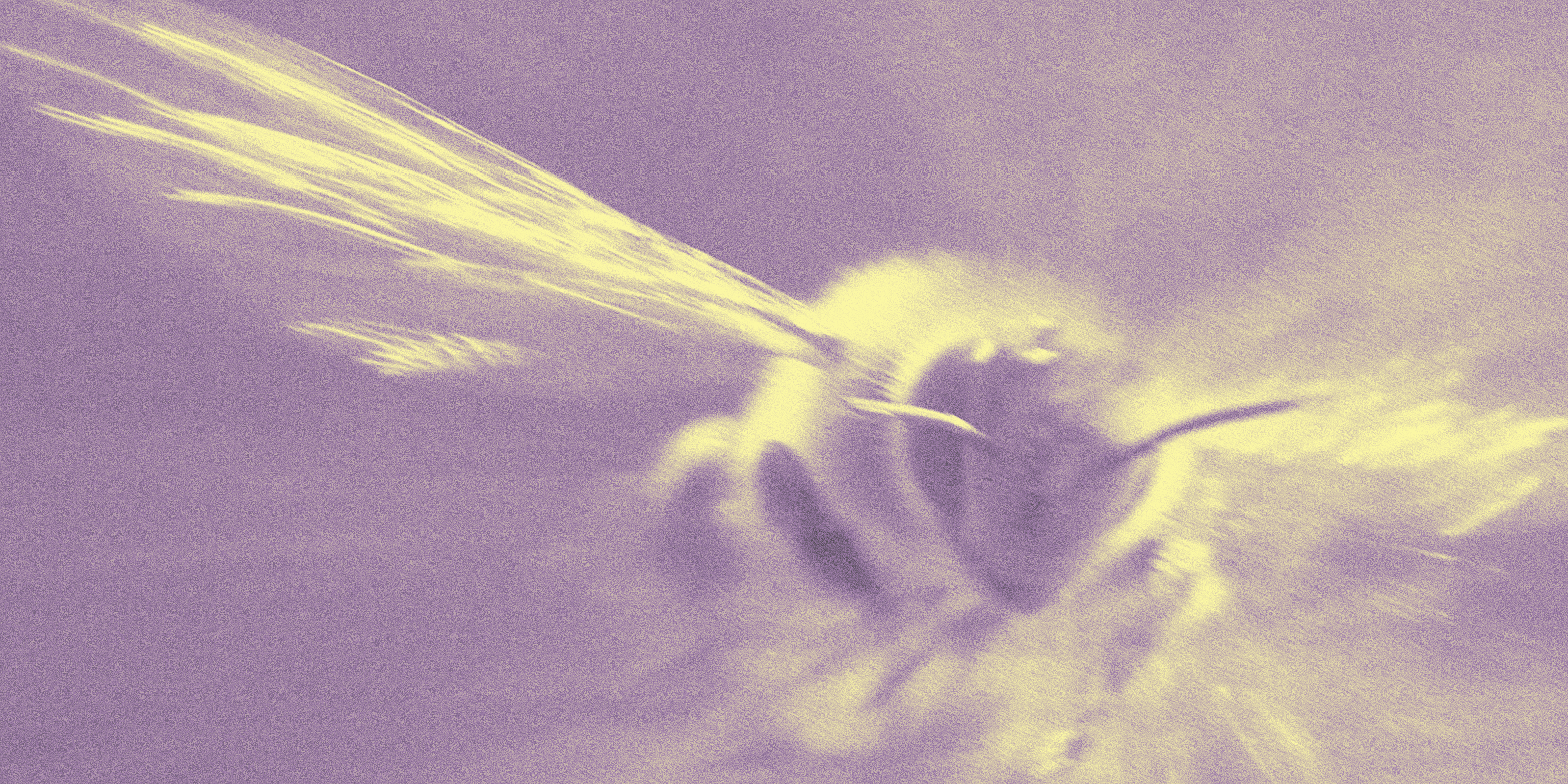 Banner de la página de servicios