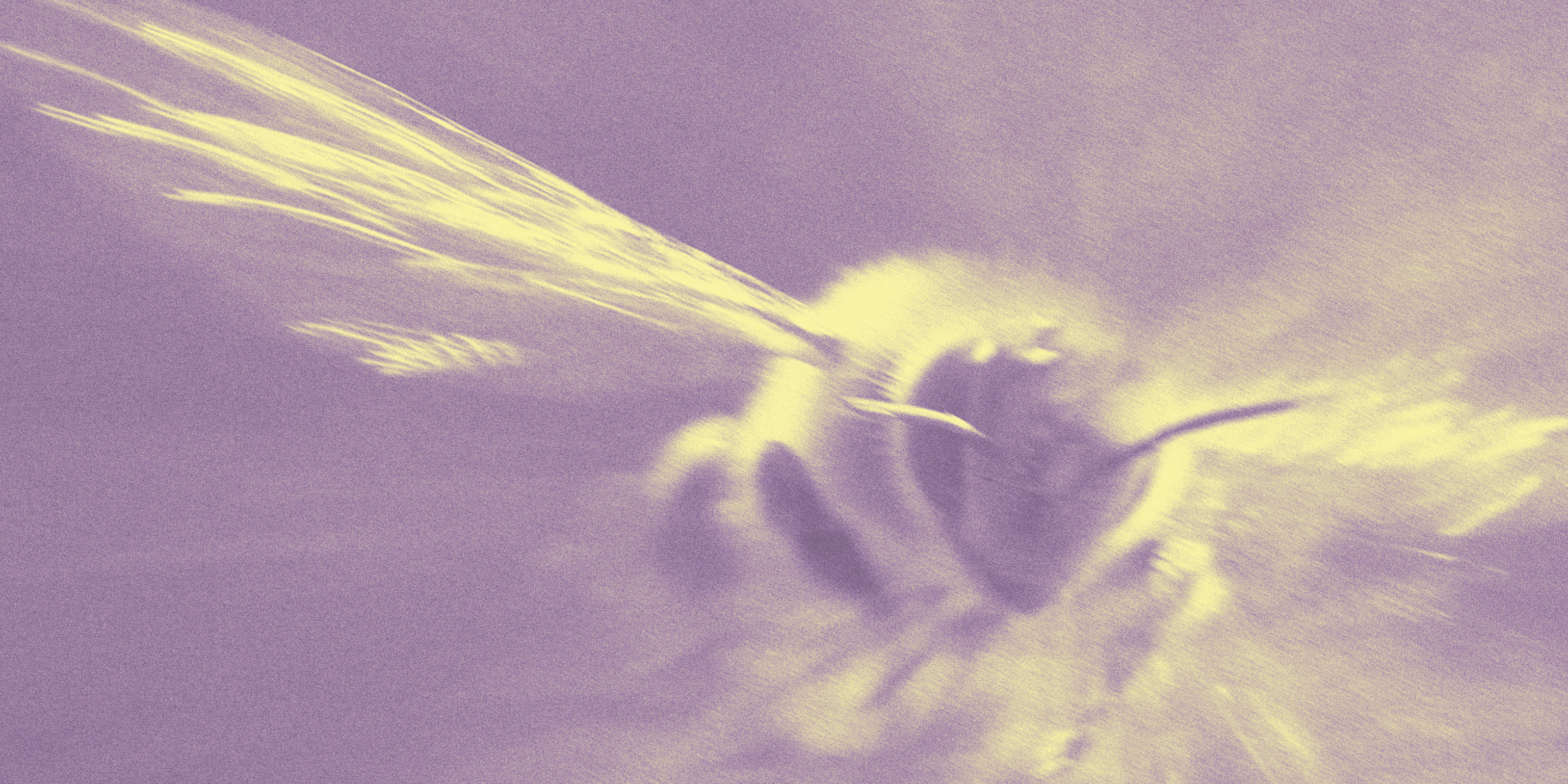 Services page banner