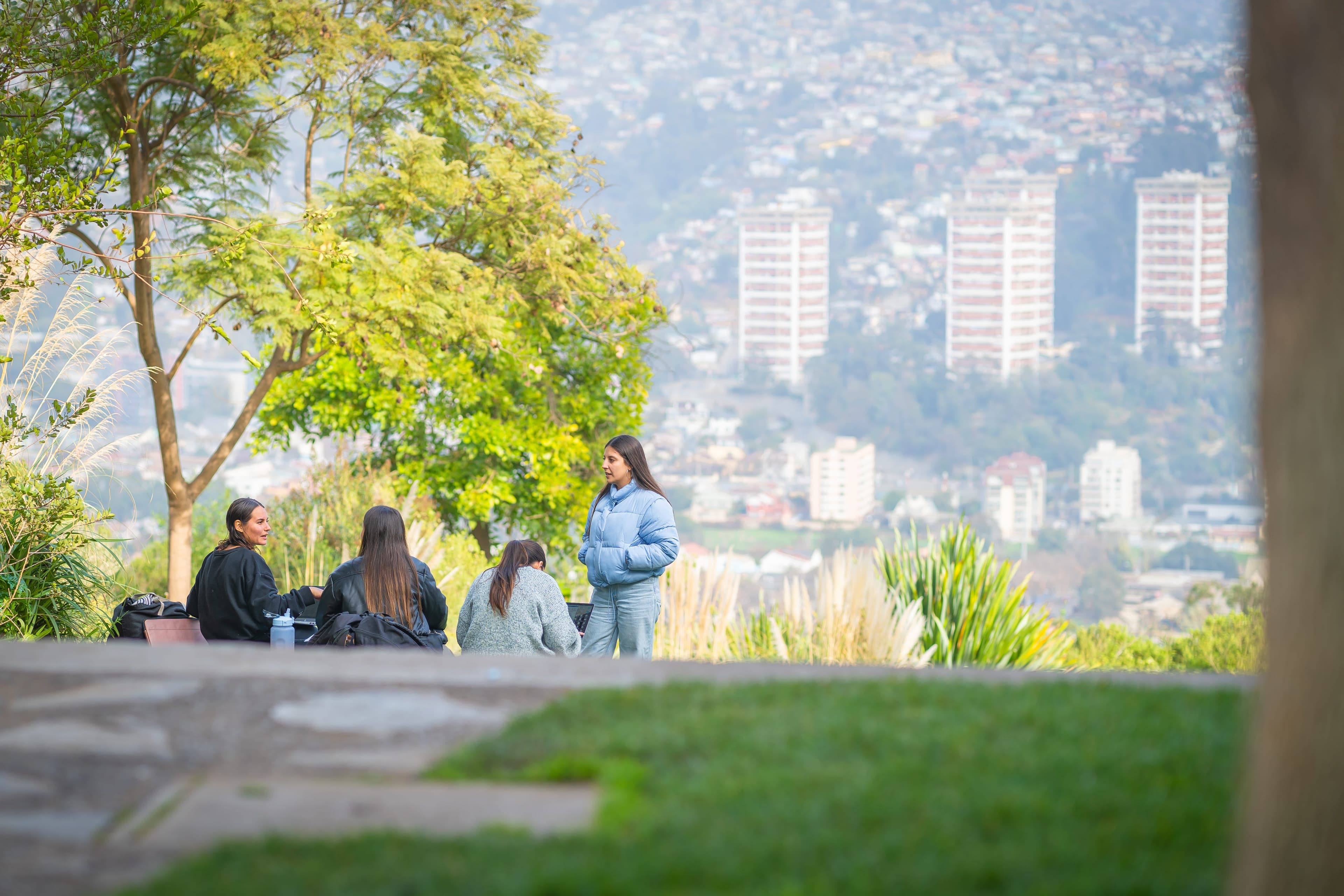Universidad Adolfo Ibáñez: rediseñando la experiencia estudiantil desde el servicio